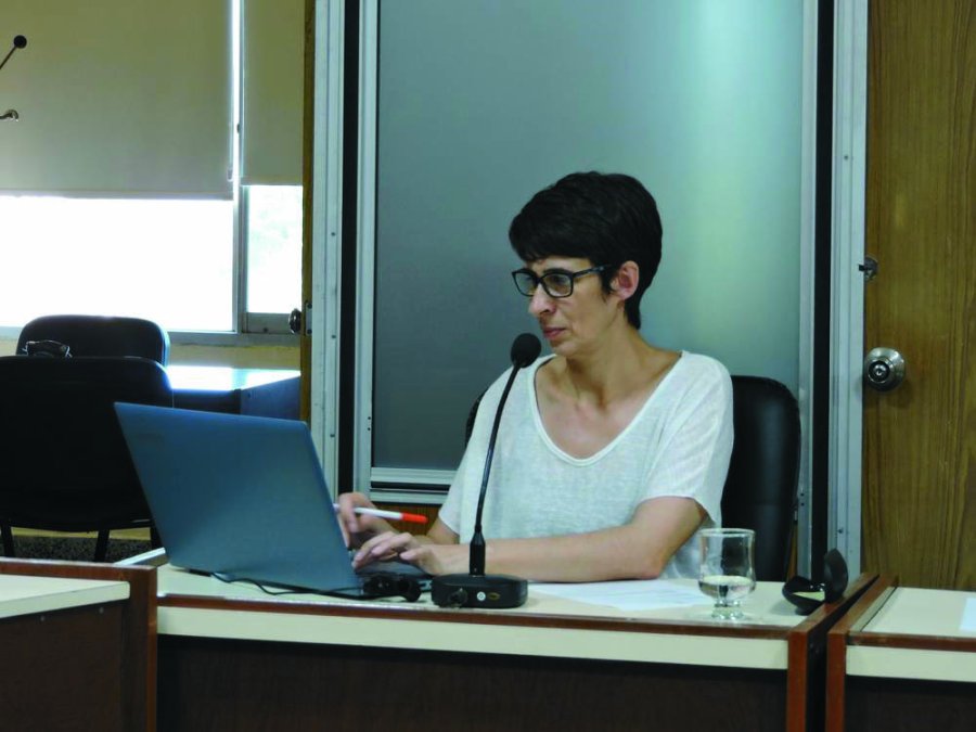 FOTO ARCHIVO// ANDREA OCHAT// La legisladora sunchalense.