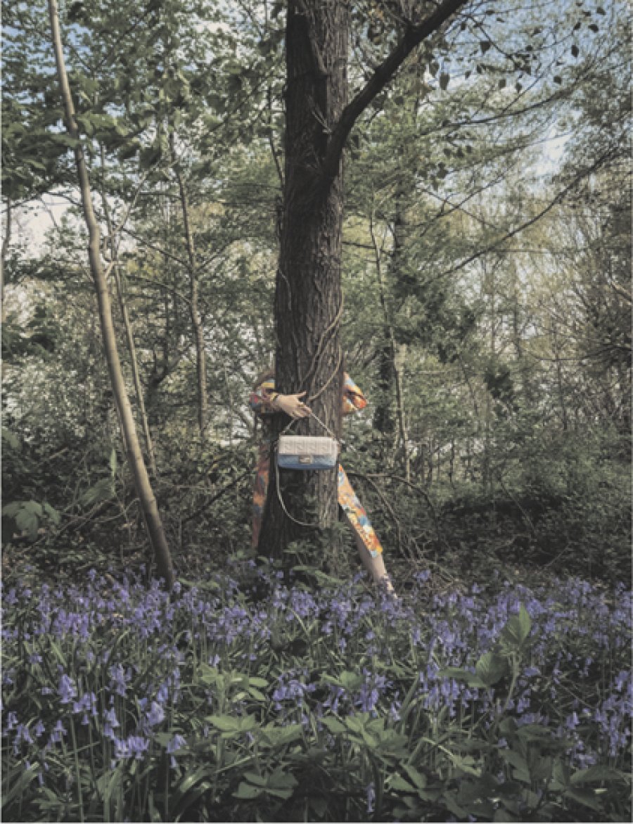 WELLNESS MEDIO AMBIENTE