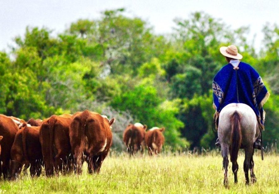 IMAGEN INTERNET TRABAJADOR RURAL. Cuenta con una nueva herramienta de gestión.  IMAGEN INTERNET POR CELULAR. Se agiliza la atención.