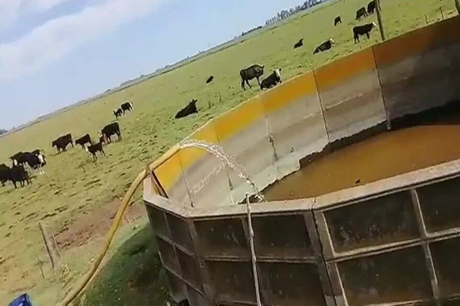 IMAGEN INTERNET ALMACENAMIENTO. Agua para evitar la muerte de animales.