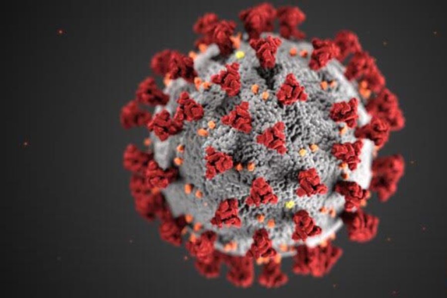 FOTO SOPHOSLABS VIRUS ESTAFADOR. Con la palabra "coronavirus" los estafadores buscan atraer a sus v&iacute;ctimas.