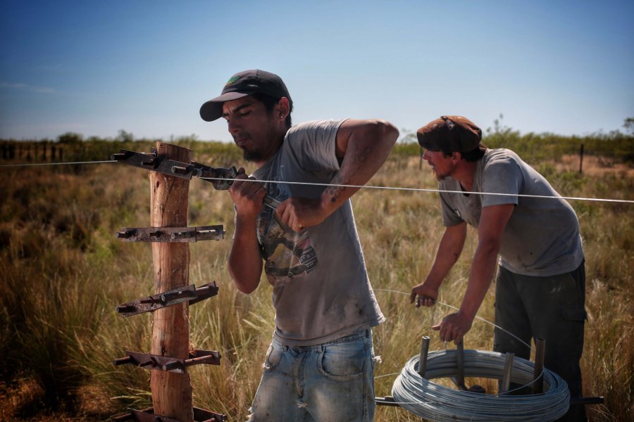 FOTO RENATRE SEGURO DE DESEMPLEO. El monto fue actualizado.