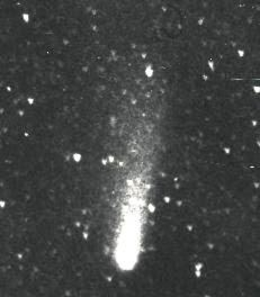 archivo Jorge Coghlan