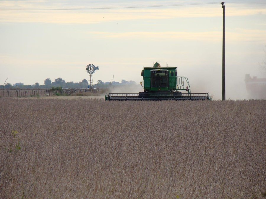 FOTO SEA/BCSF SOJA. En general, los rindes en la región cubren las expectativas que tenían los productores.
