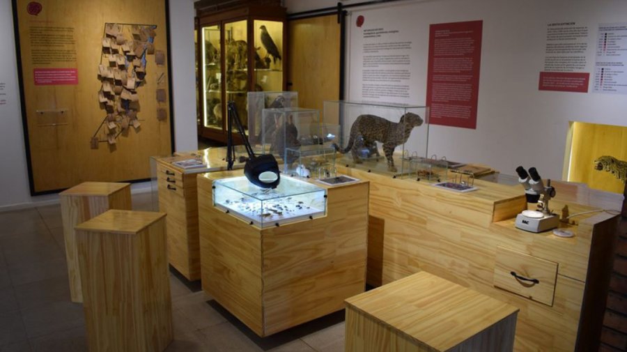 FOTO INTERNET MUSEO AMEGHINO. Presenta "Ameghino, memorias de un museo centenario".