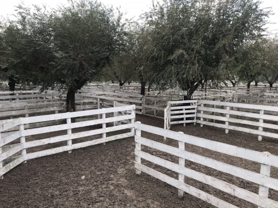 FOTO ARCHIVO ACCION Y REACCION. Una vez más el Gobierno pone la lupa sobre un sector que expresa su bronca con un paro.