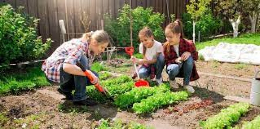 HUERTA FAMILIAR// Se propone una actividad que sostenga el autoconsumo.