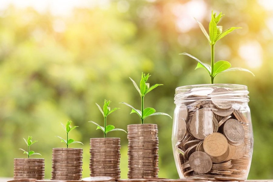 FOTO FRONT AHORROS. Requiere un cuidado y un enfoque inteligente para que crezcan con el tiempo.
