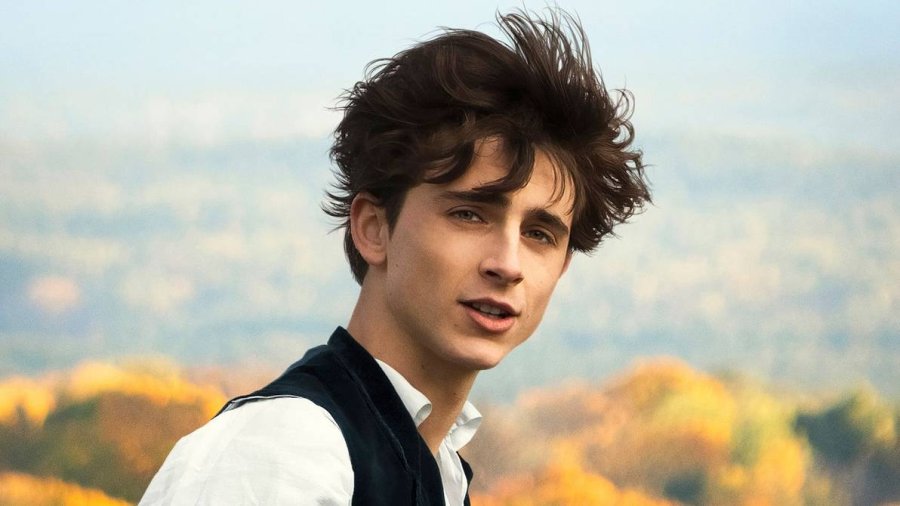 FOTO INTERNET TIMOTHE&Eacute; CHALAMET. El actor har&aacute; su aparici&oacute;n en la pantalla grande en 2023