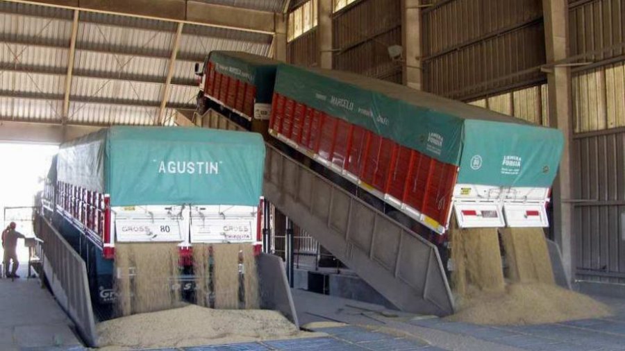 GRANOS. Las bases impulsan un cese de comercialización de granos y la dirigencia rural todavía no ha tomado una decisión.