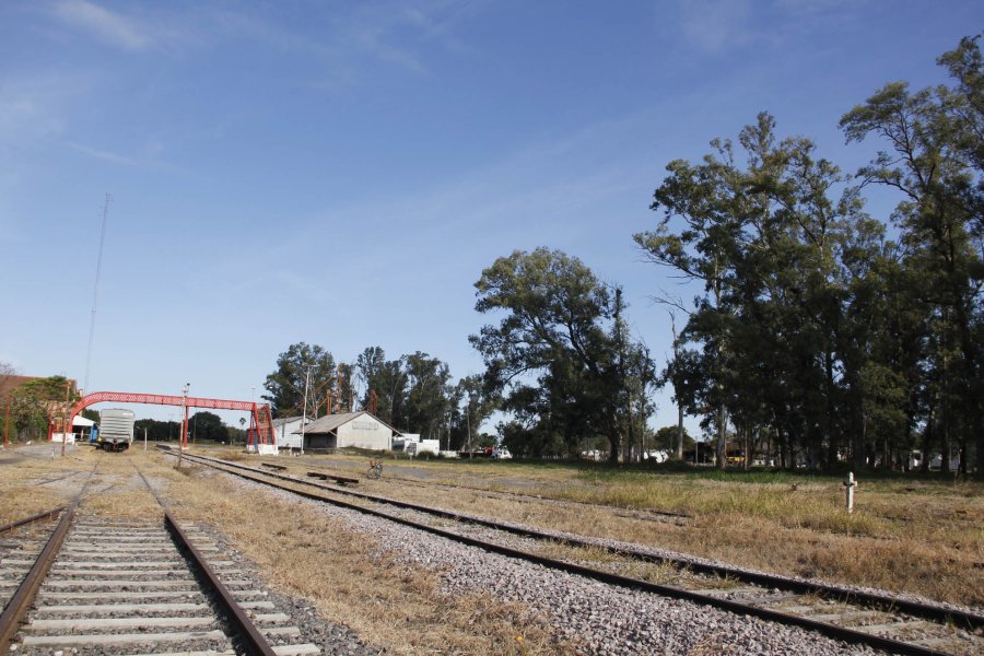 FOTO F. MELCHIORI// EL MITRE. Vista actual de la estaci&oacute;n del exferrocarril Mitre en Sunchales, se aprecia parte del monte de eucaliptos.