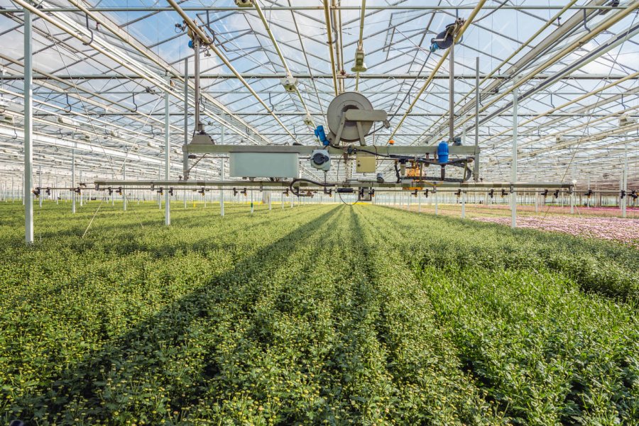 FOTO ARCHIVO TECNOLOGIA. Los avances son constantes y benefician a la agricultura.