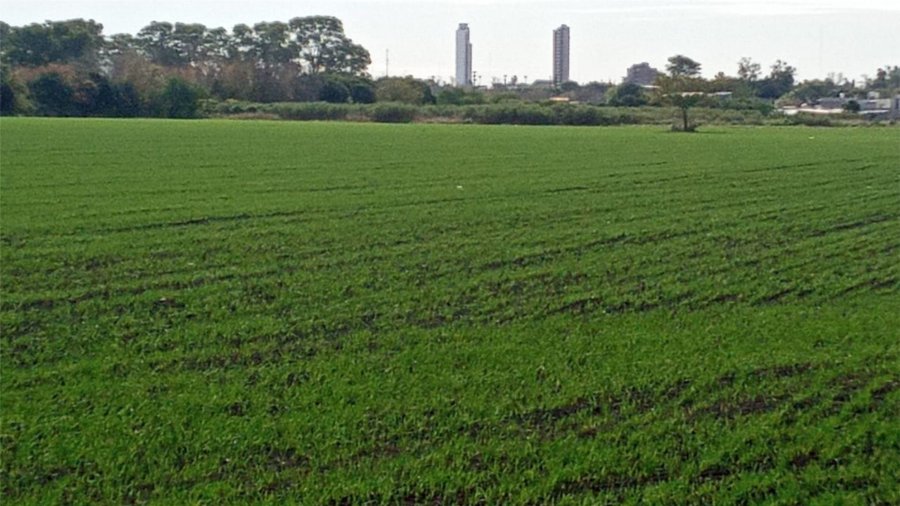 PERIURBANO. Productores rafaelinos manifestaron su postura ante los dichos del Presidente de la Nación.