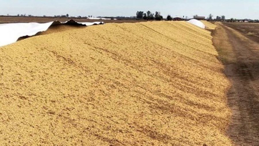 OTRA VEZ. El Dpto. Castellanos fue testigo de un nuevo ataque al campo.