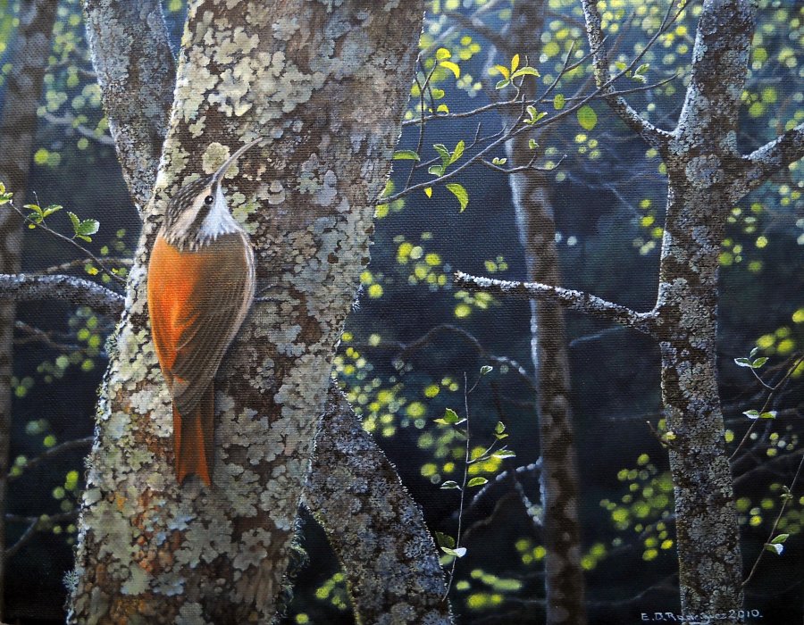 archivo Elio Rodríguez