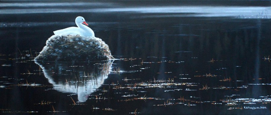 archivo Elio Rodríguez