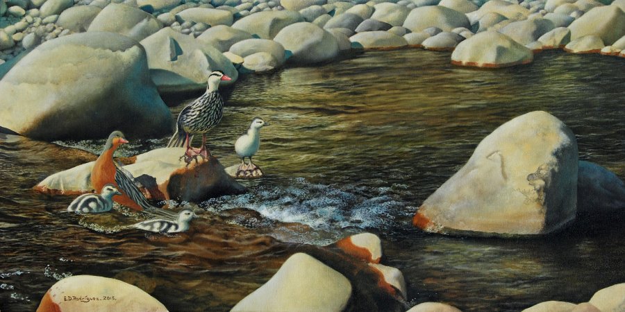 archivo Elio Rodríguez