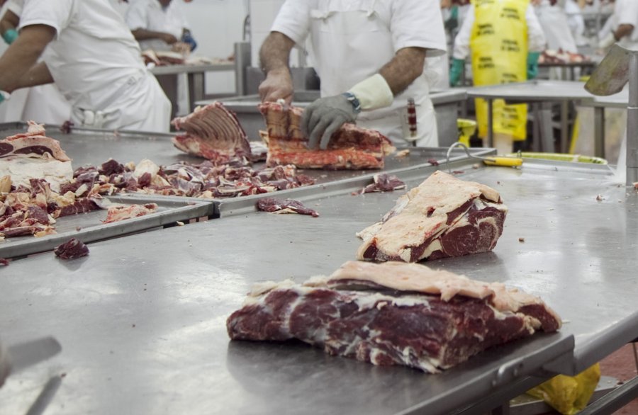 EXPORTACIONES. Durante el bimestre 07/08 de 2021 sólo se autorizarán 34.395 tn peso producto.