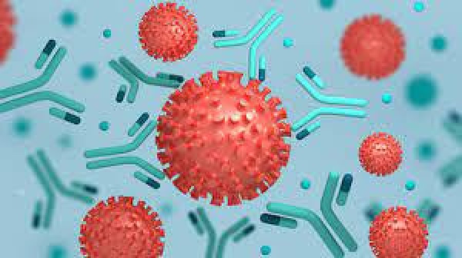Coronavirus