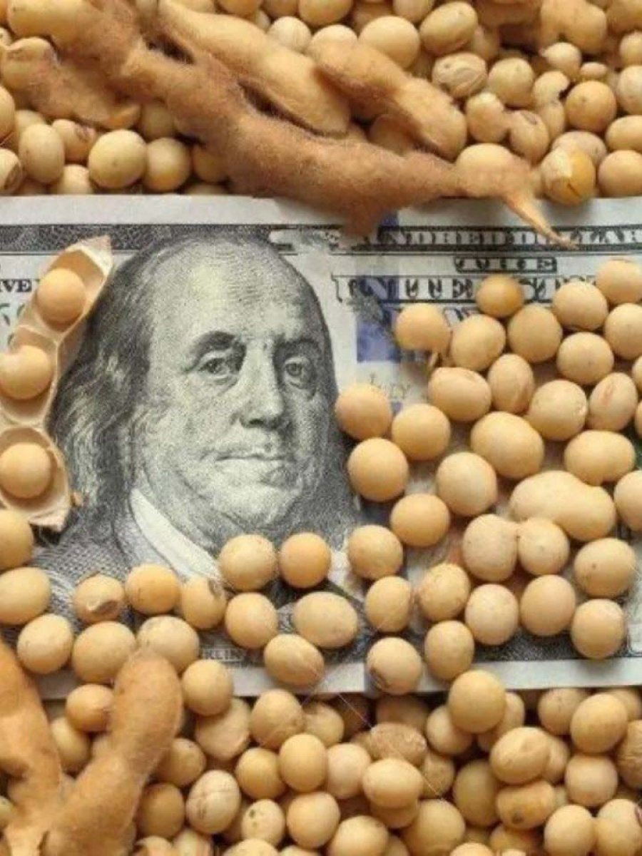 FOTO ARCHIVO SOJA. El Estado se queda con la mayor parte.