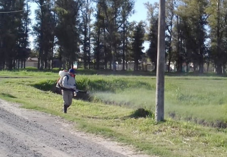 FOTO PRENSA MUNICIPALIDAD// DENGUE./ Prosiguen fumigando diversos sectores de la ciudad.