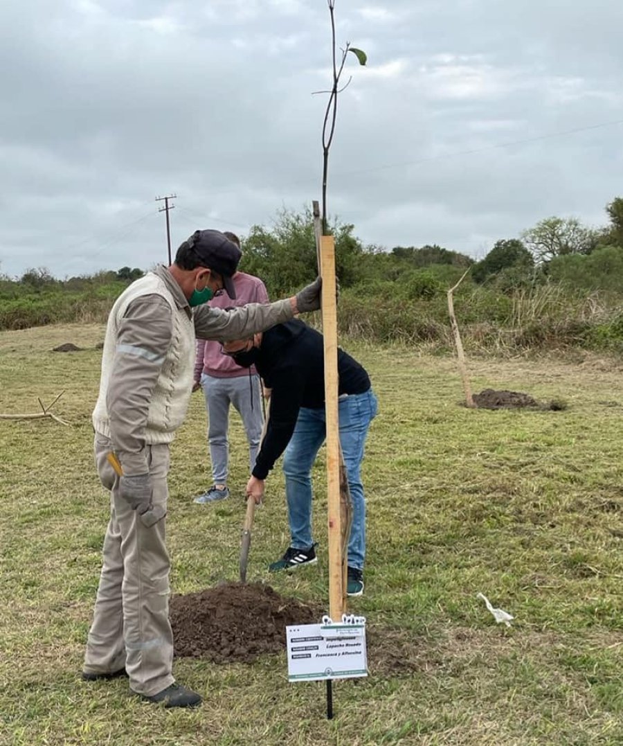 FOTO COMUNICACI&Oacute;N// TOSELLI // Junto a una de las familias participantes en el programa. ARBOL// Uno de los ejemplares plantados el s&aacute;bado.