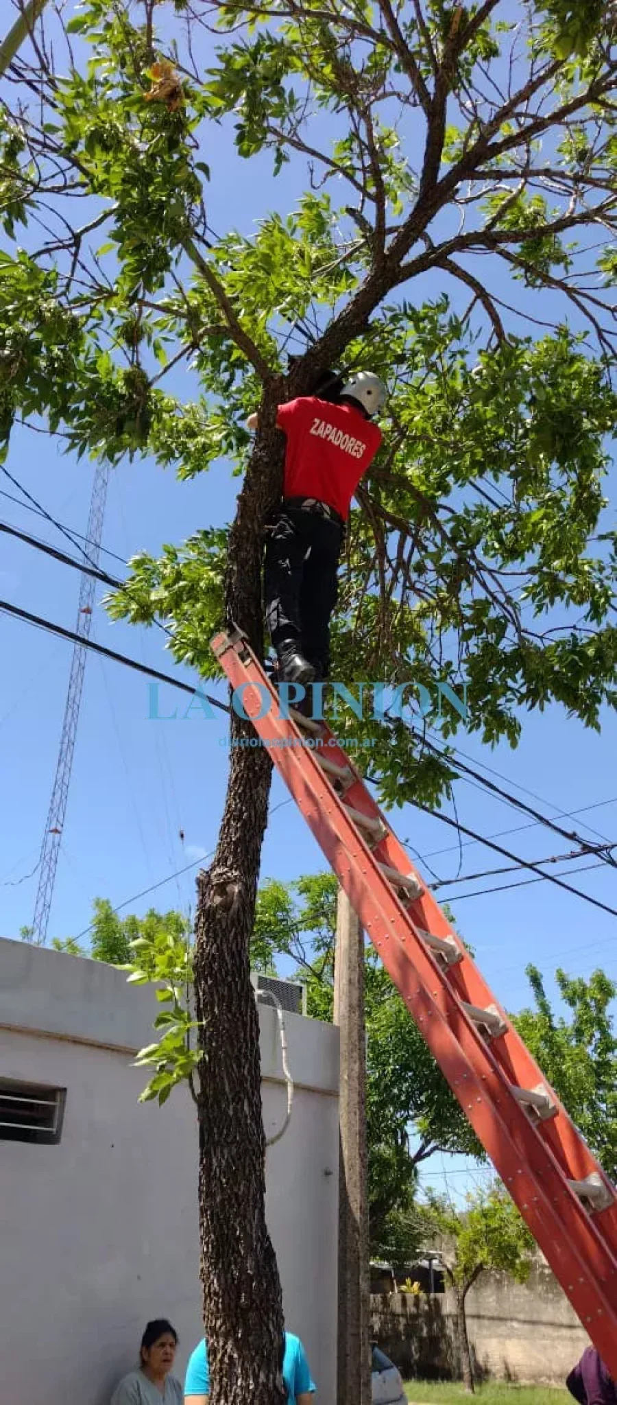RESCATADO. Tras la labor que le cupo a Bomberos Zapadores.