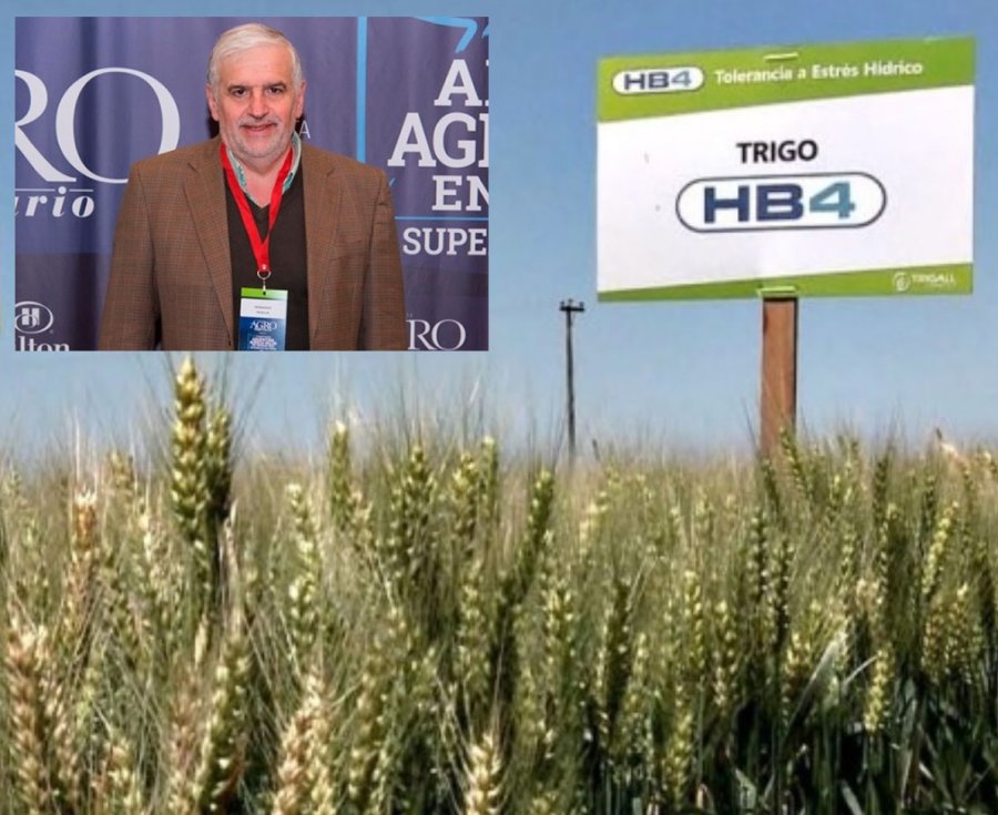 HITO. El catedrático Fernando Vilella no tiene dudas en afirmar que la ciencia argentina ha dado un paso trascendental.