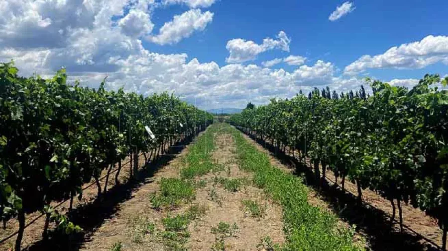 FOTO R. G&Oacute;MEZ//MENDOZA. Las reservas rondan el 97%
