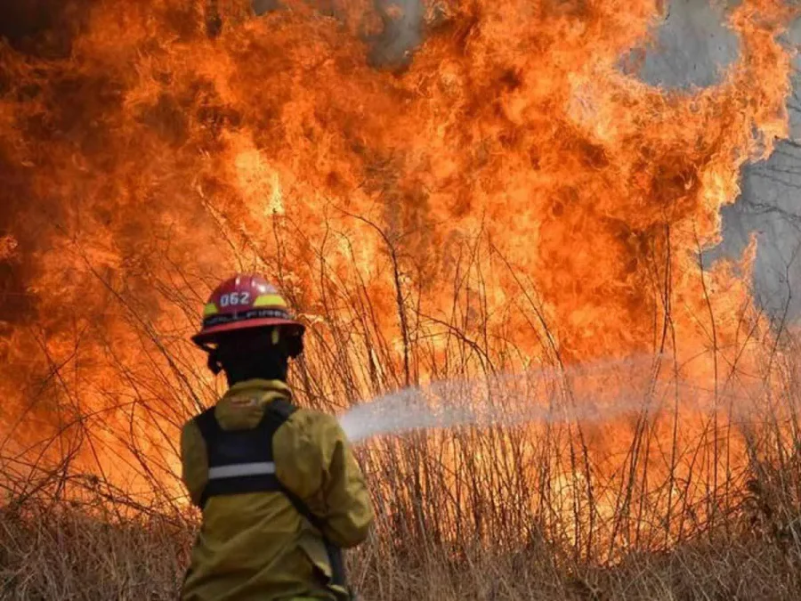 FOTO NA
INCENDIOS. Devastaron el 11% de la superficie de la provincia de Corrientes.