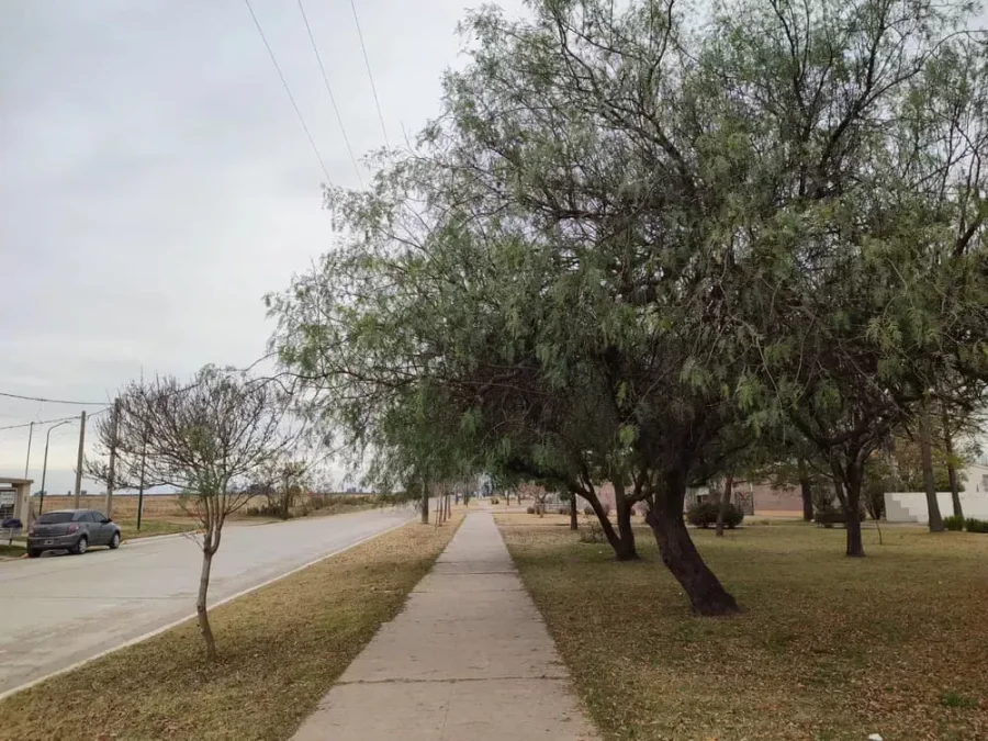 FOTO PRENSA COMUNA//