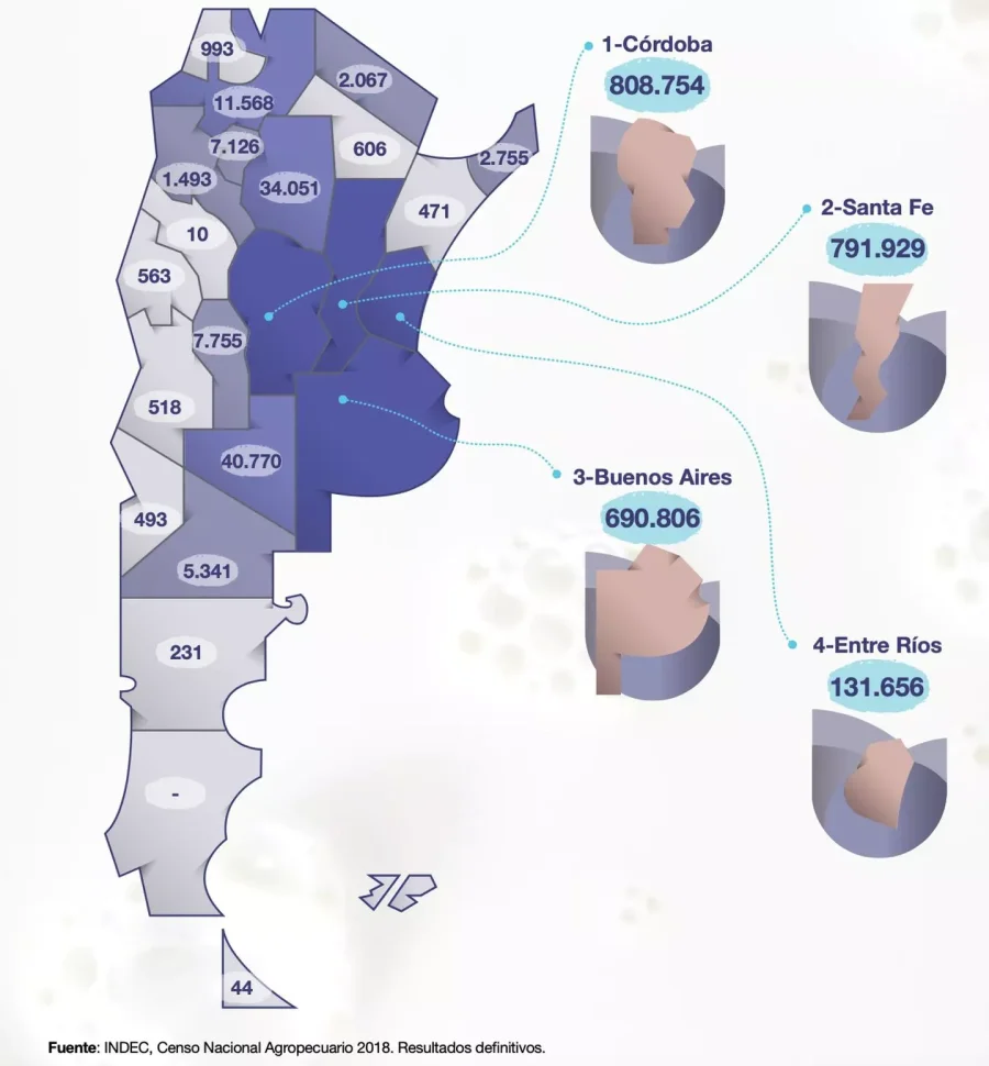 INFOGRAF&Iacute;A INDEC