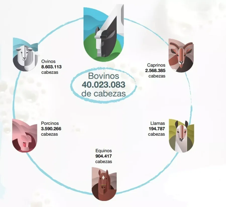 INFOGRAF&Iacute;A INDEC