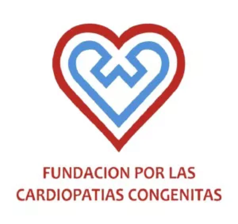 FOTO WEB