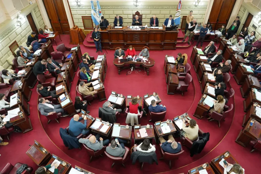 FOTO PRENSA DIPUTADAS