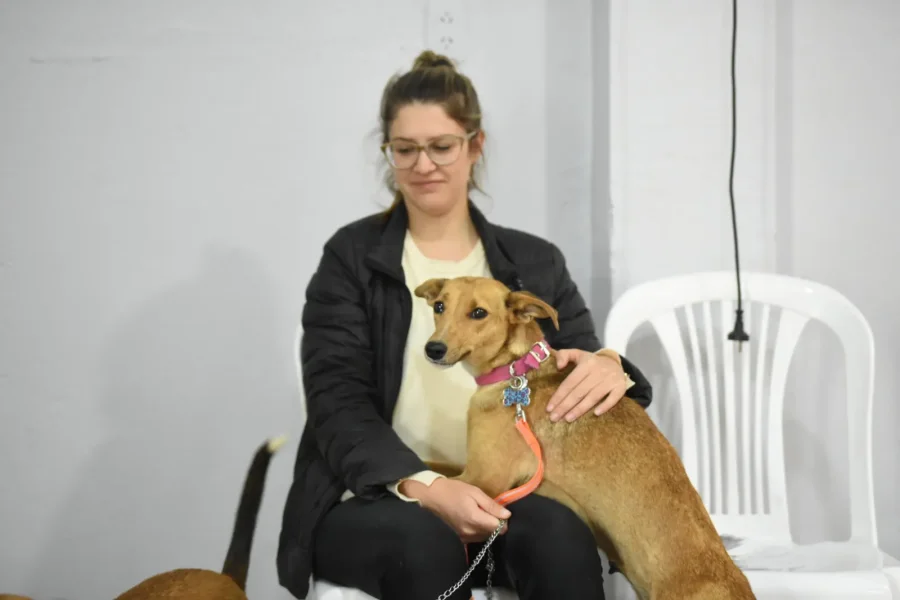 Foto prensa municipal