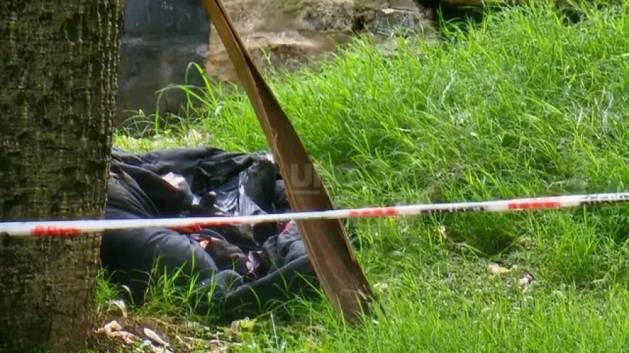 IMAGEN INTERNET. Diario UNO