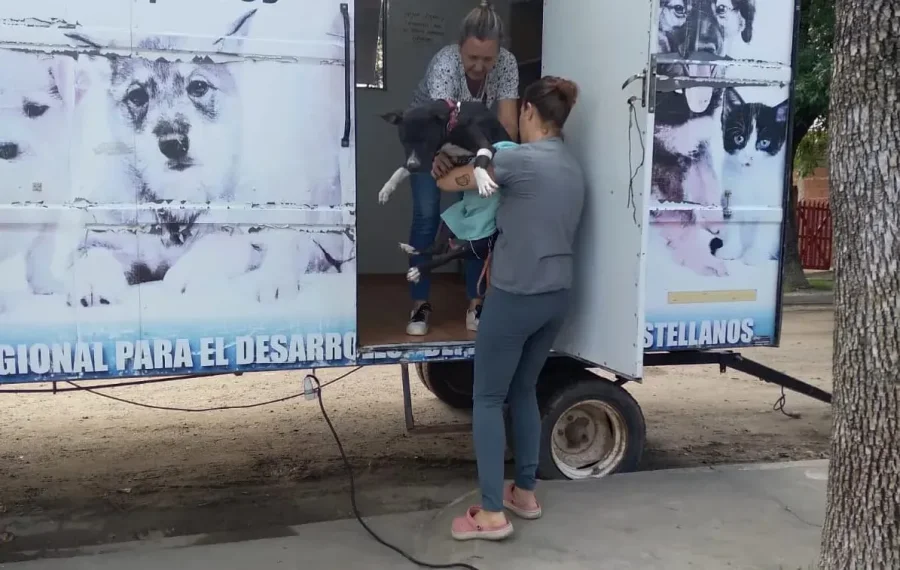 FOTO COMUNICACI&Oacute;N//