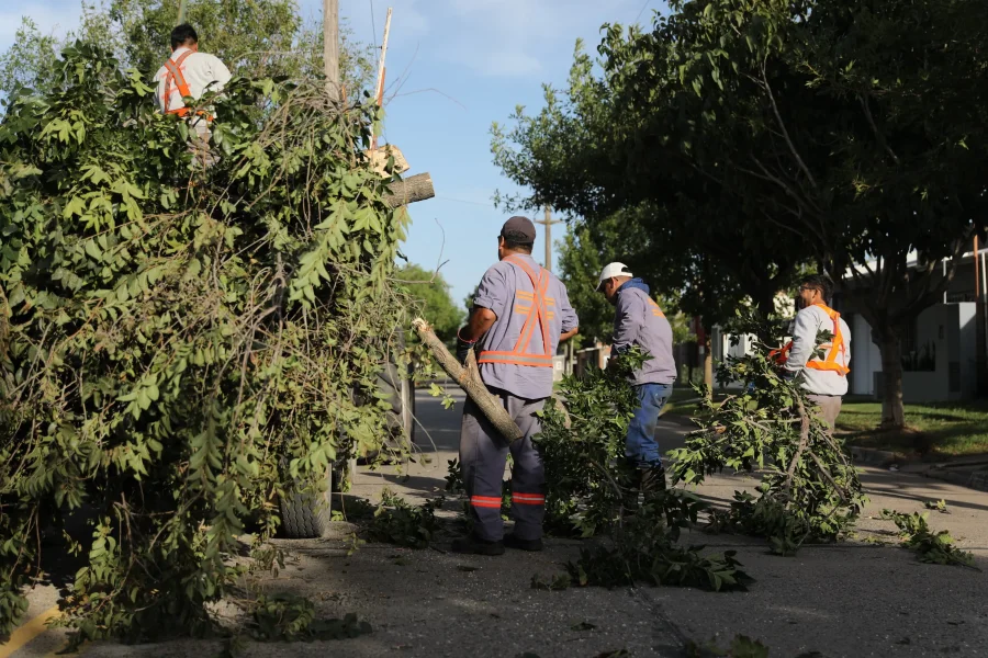Foto prensa municipal