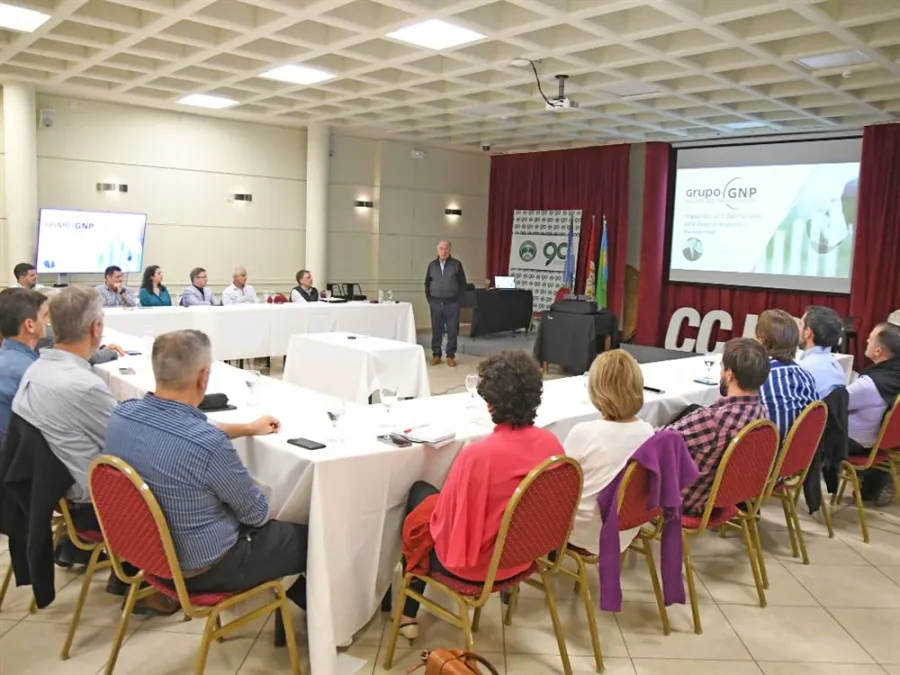 FOTO PRENSA CCIRR