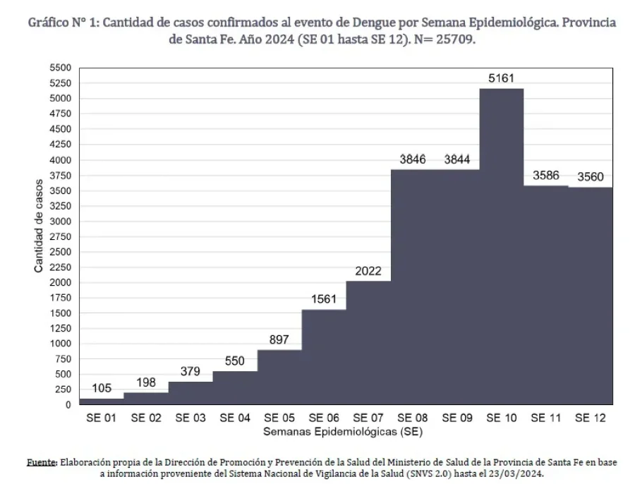GR&Aacute;FICO SCS