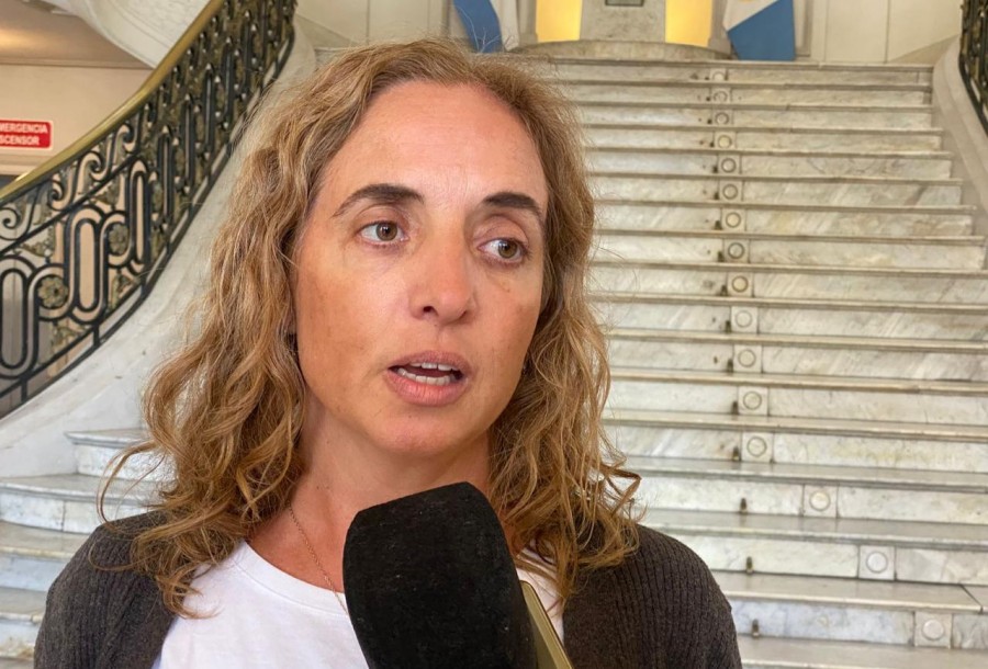 La directora de Epidemiolog&iacute;a, Carolina Cud&oacute;s.
