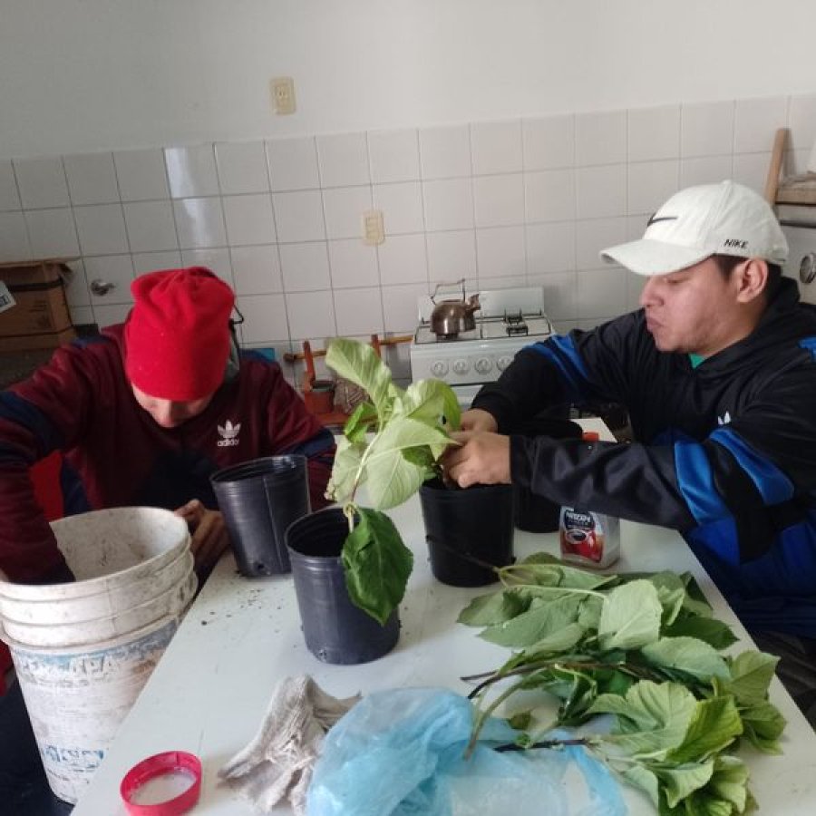 Actividad en el Vivero Inclusivo.