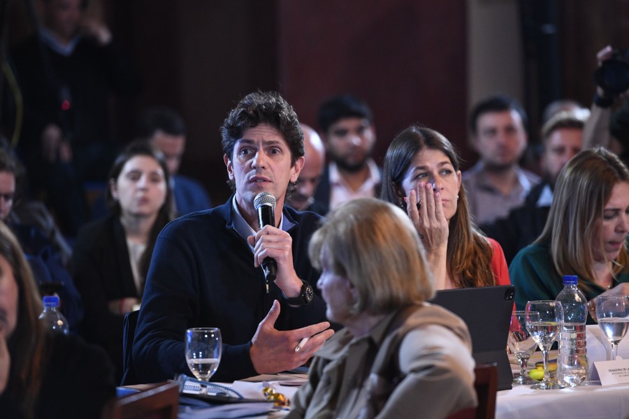 El senador Lousteau puso el foco en el RIGI.