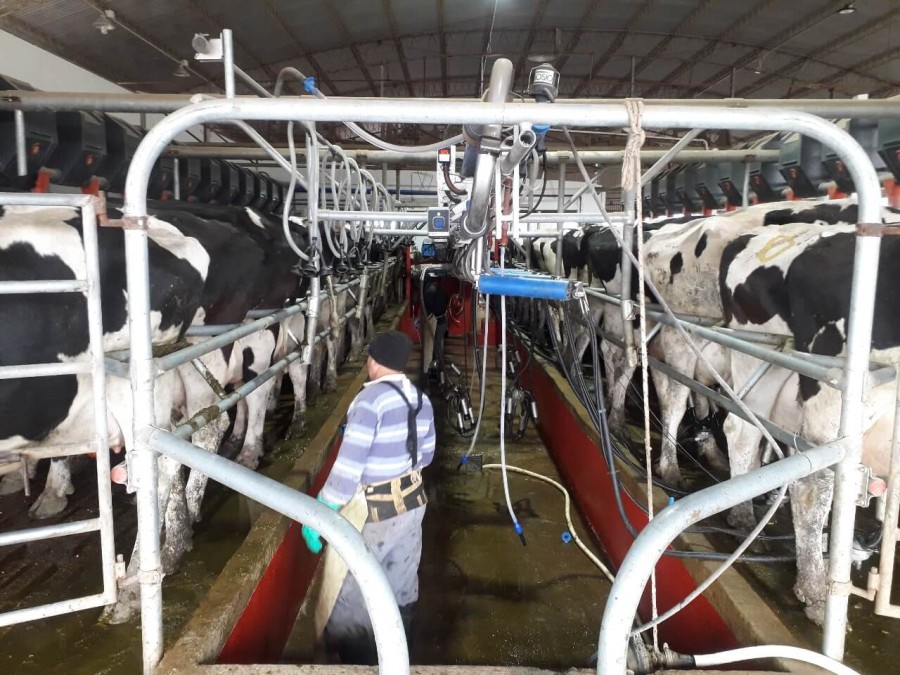 La lechería no paga derechos de exportación.