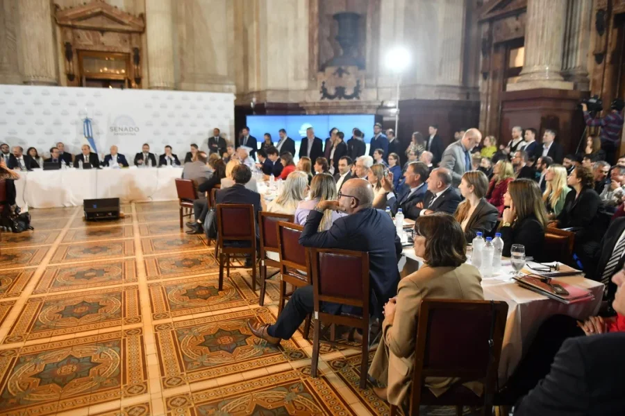 SENADO. La C&aacute;mara alta no le dio el gusto a Milei, por ahora.