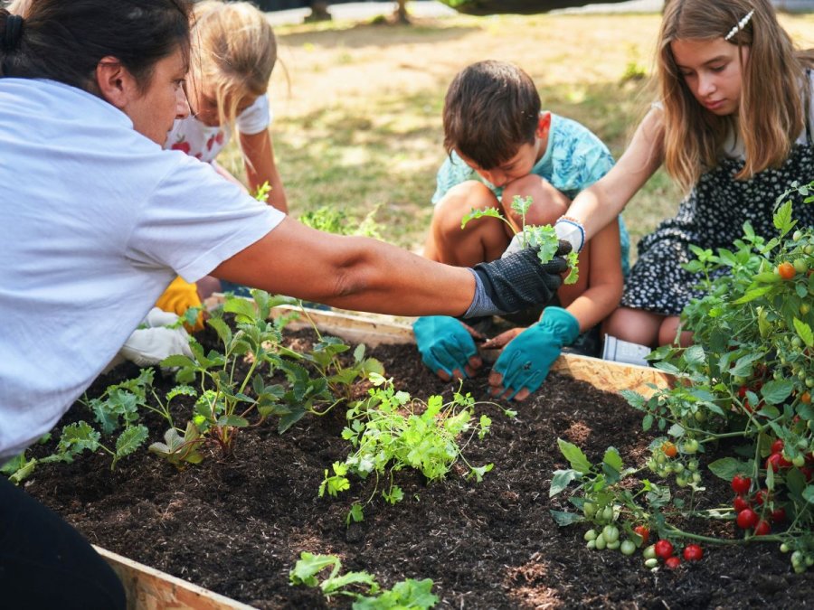 PROPUESTA. El taller permitir&aacute; acceder a tips para tener una huerta propia con alimentos saludables.