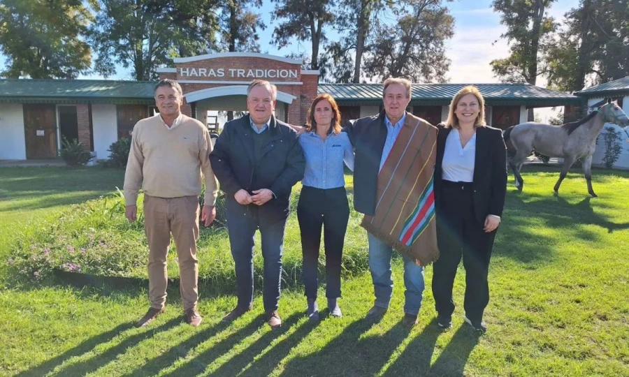 La visita al haras Tradici&oacute;n.