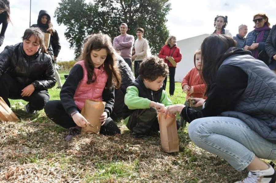 Instante de la reciente actividad.
