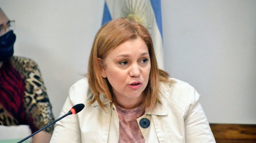 La diputada Karina Banfi.